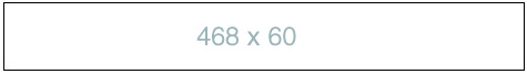 480 x 60