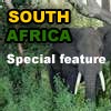 SPECIAL FEATURE