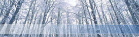 Snow and Ice Chapter 2